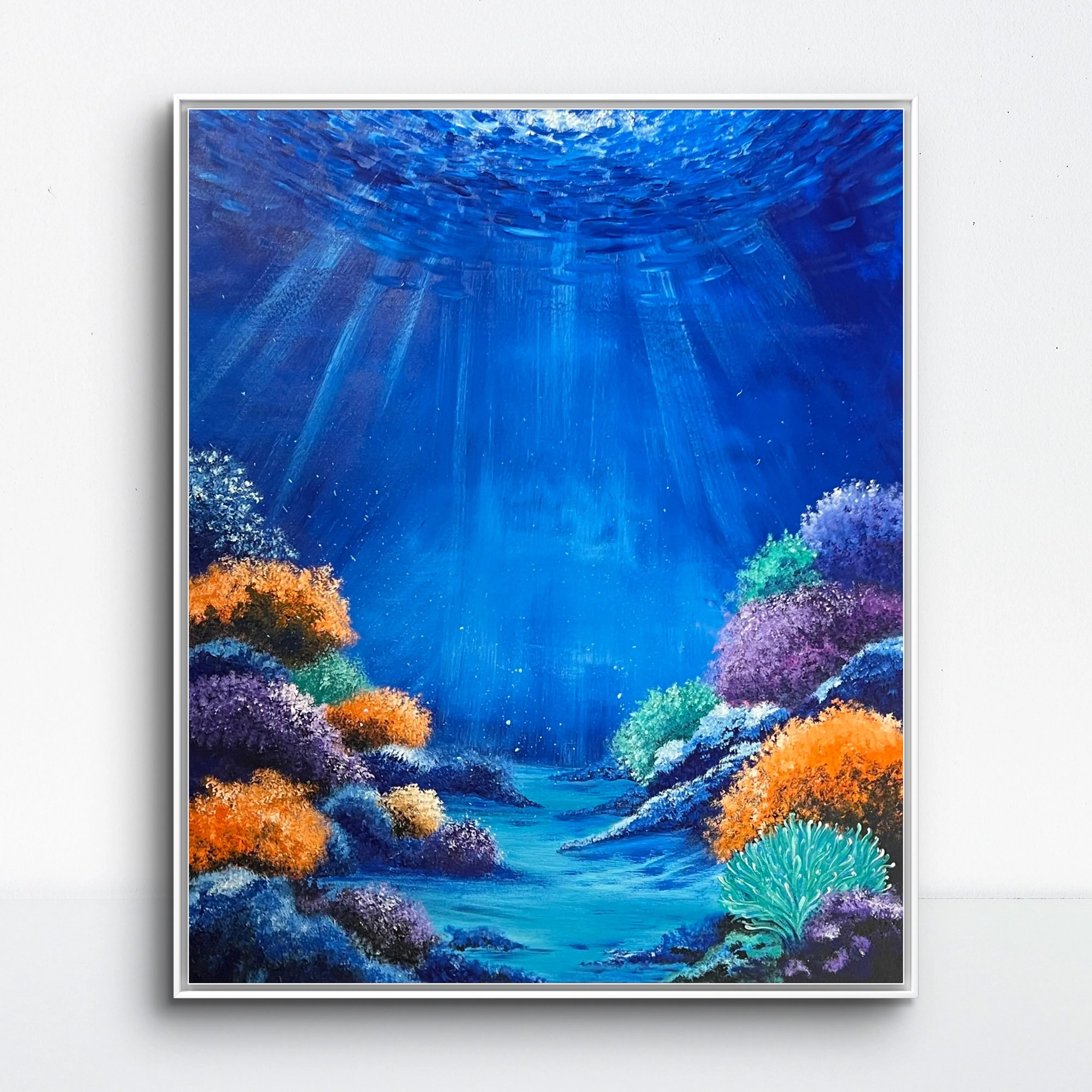 Ocean Collection